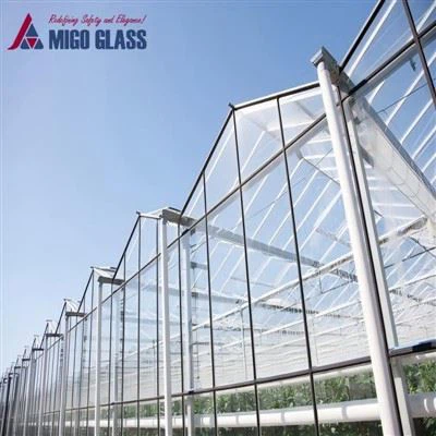 Bahçıvanlık Orta Demir Dağınık Temperli Cam